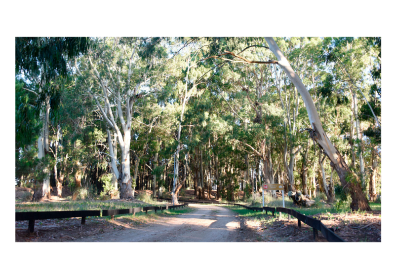 Barrio Cerrado Terminados