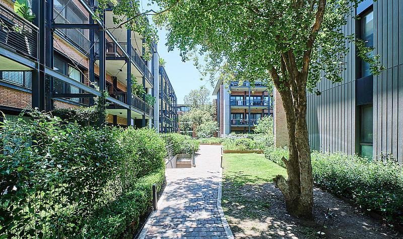 Edificio a Estrenar Terminados