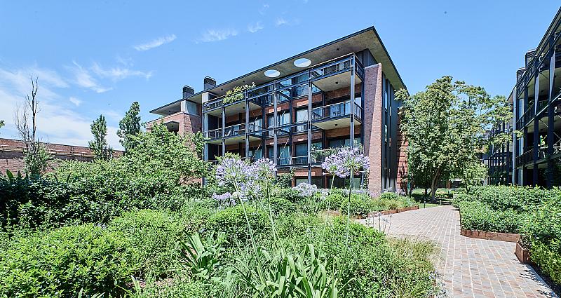 Edificio a Estrenar Terminados