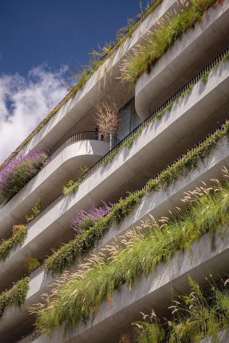 Edificio a Estrenar Terminados