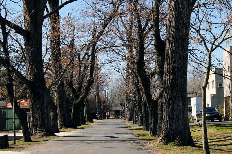 Barrio Cerrado Terminados