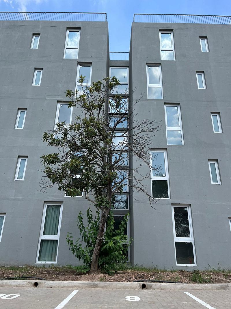 Edificio de Condominios Terminados