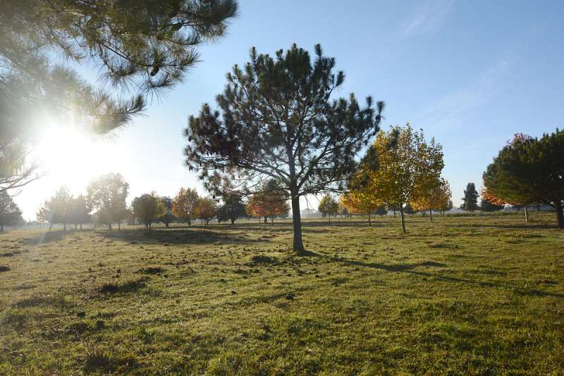 Lote en venta