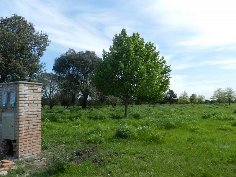 Lote en venta