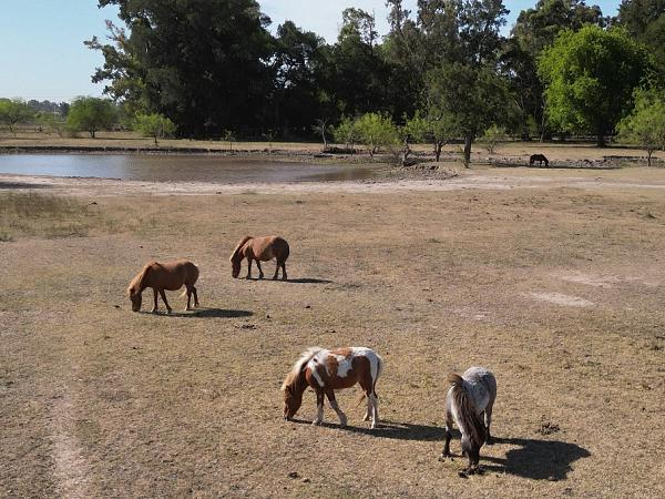 Lote en venta