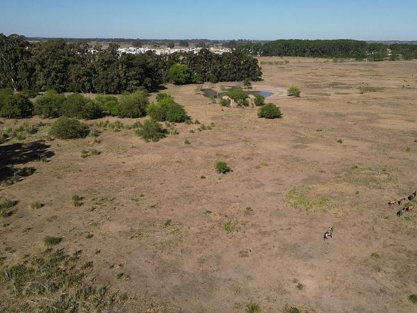 Lote en venta