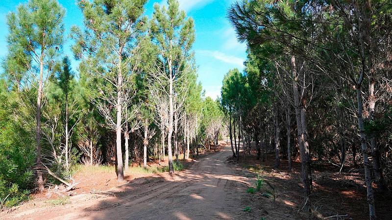 Lote en venta