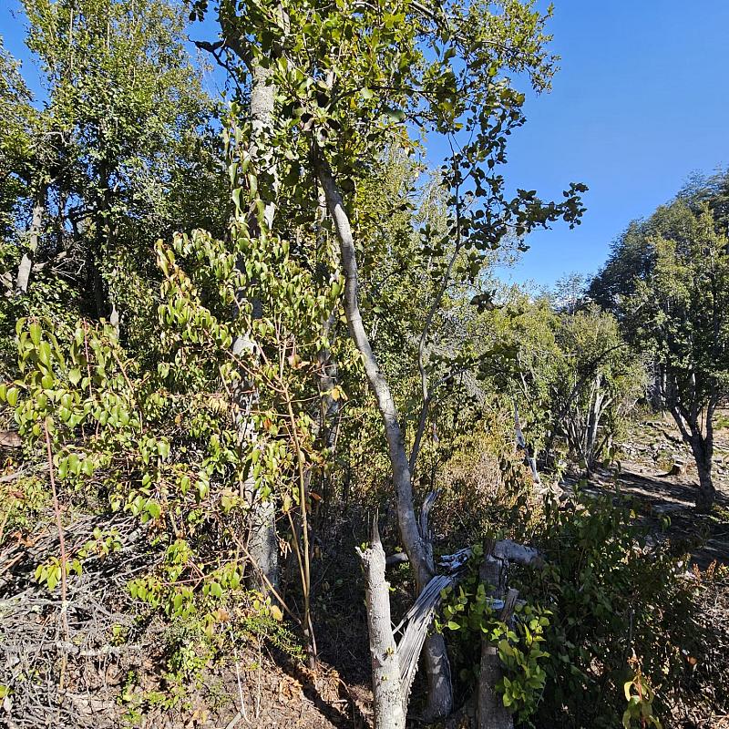 Terreno en venta