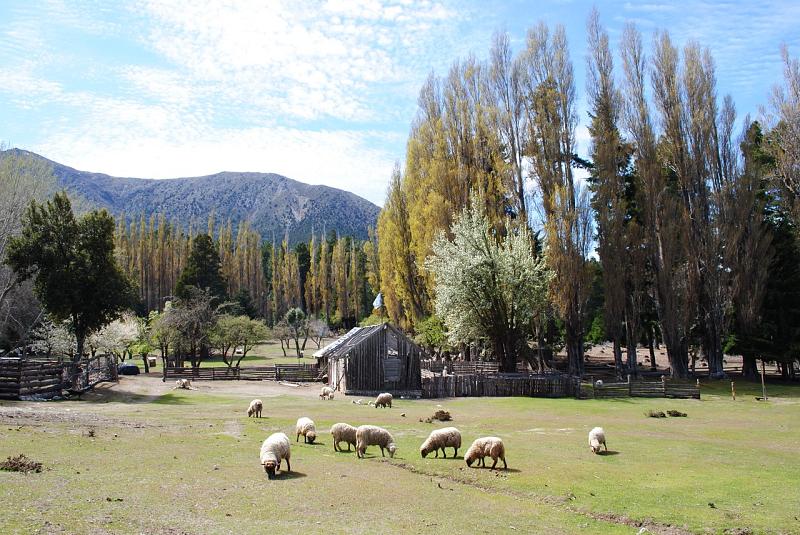 Campo en venta