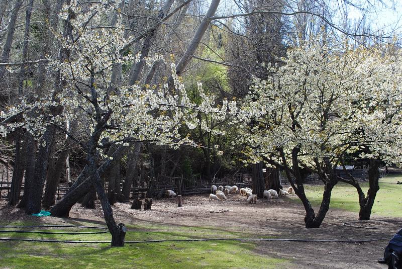 Campo en venta