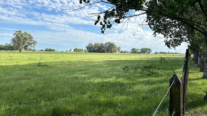 Campo en venta