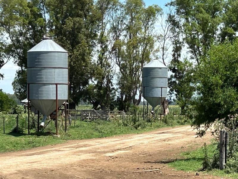 Campo en venta