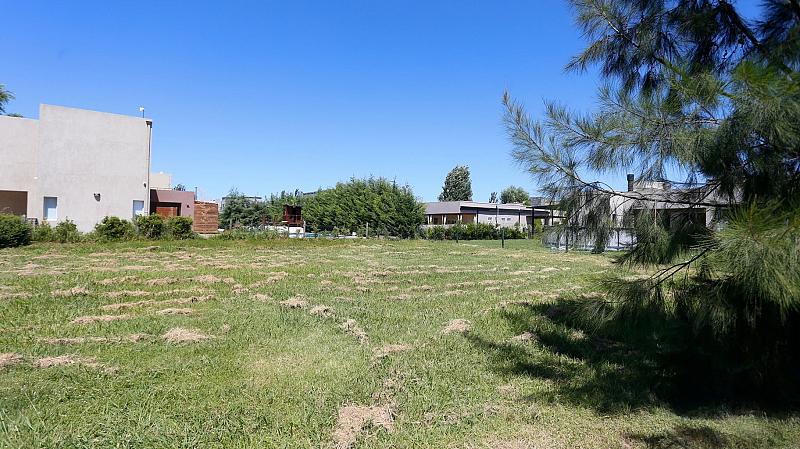 Lote en venta