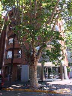 Departamento en alquiler