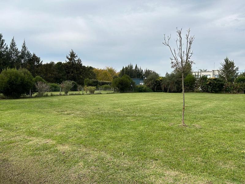 Lote en venta