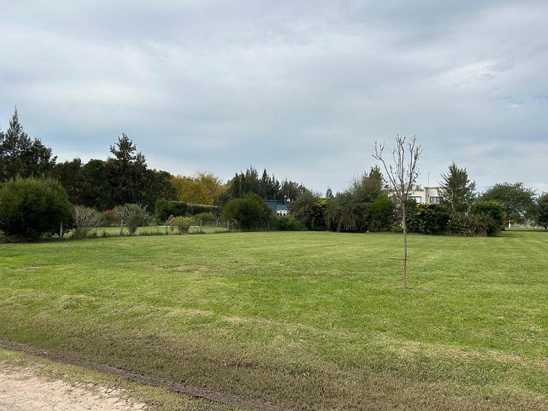 Lote en venta