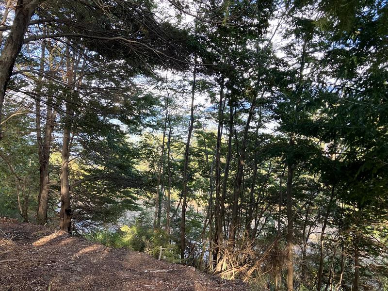 Lote en venta