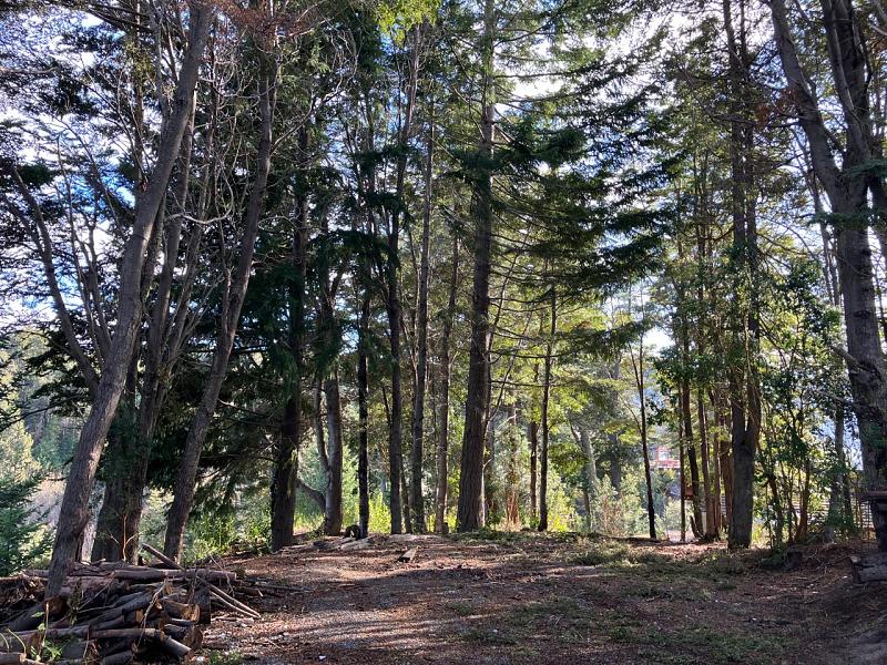 Lote en venta