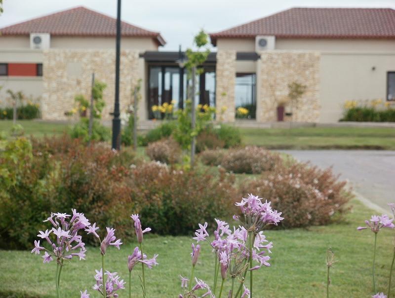 Lote en venta