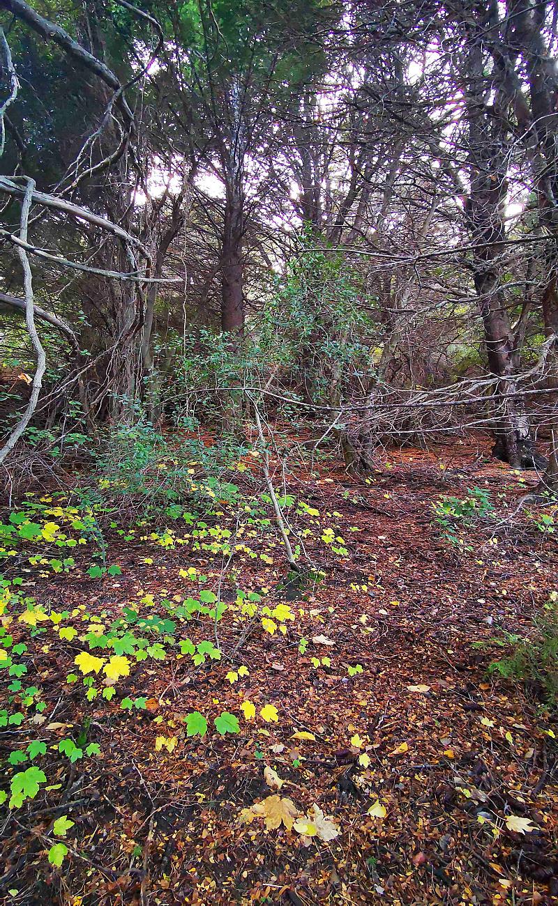 Terreno en venta
