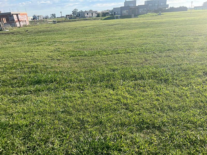 Lote en venta