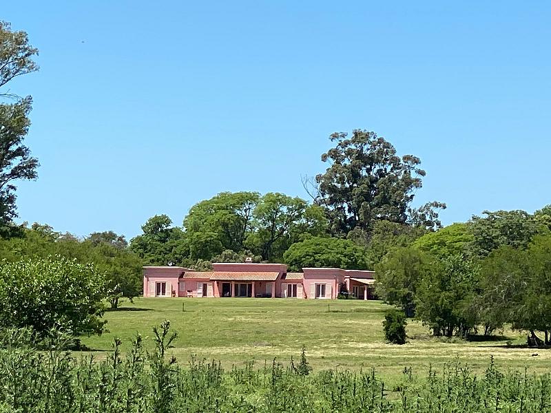 Campo en venta