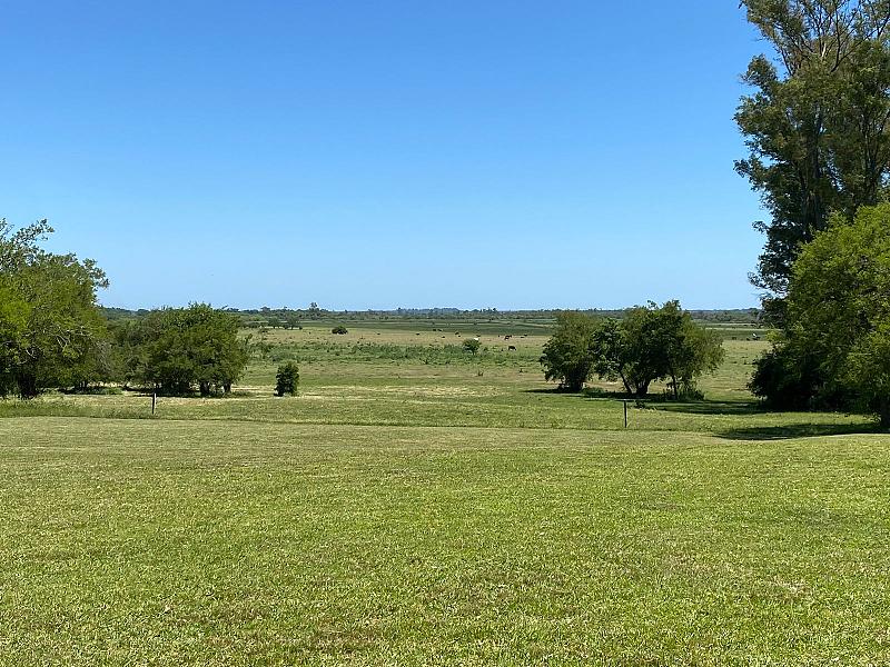 Campo en venta