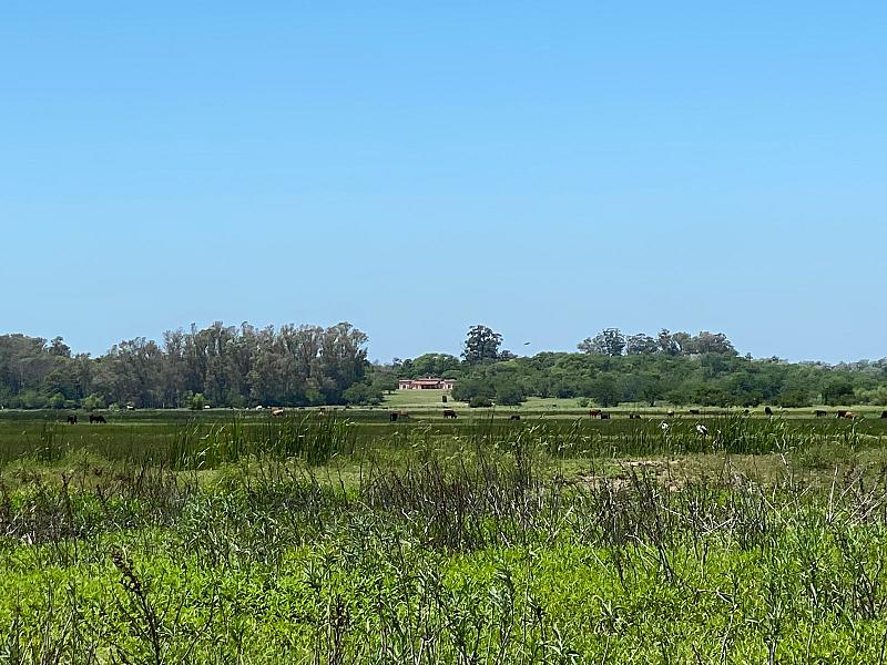 Campo en venta