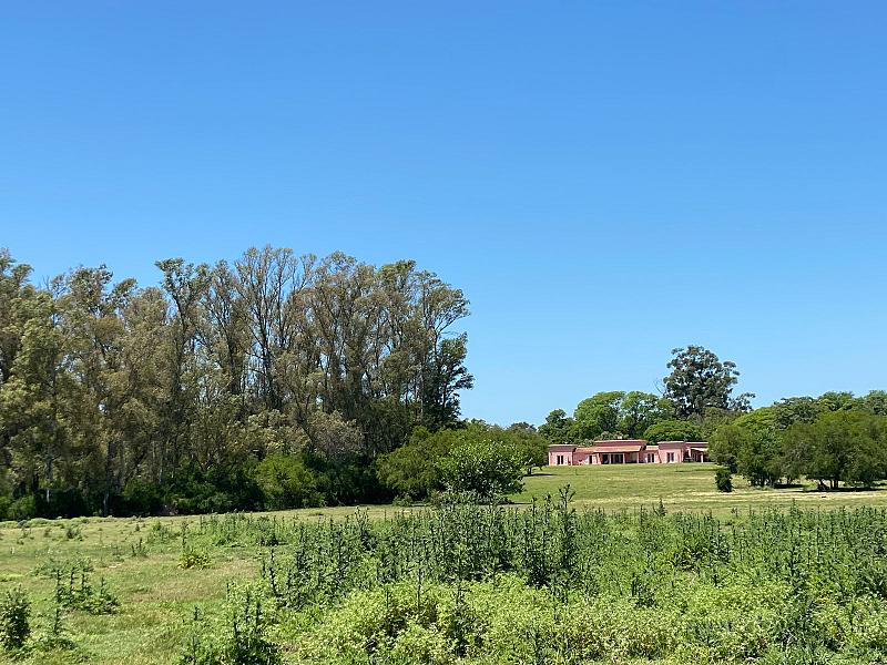 Campo en venta