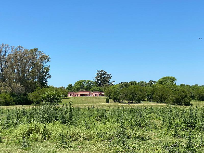 Campo en venta
