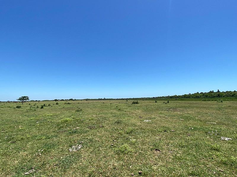 Campo en venta