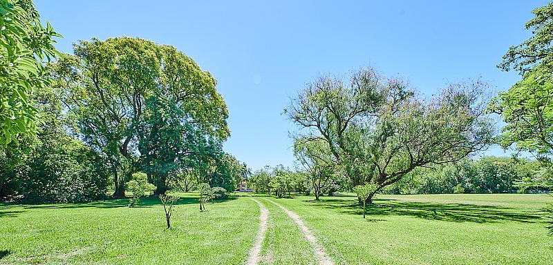 Campo en venta