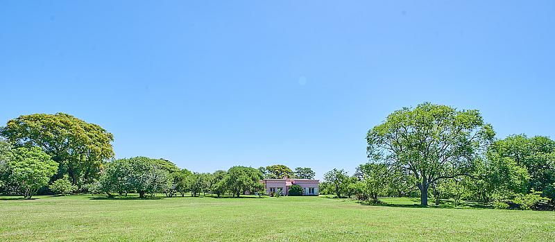 Campo en venta