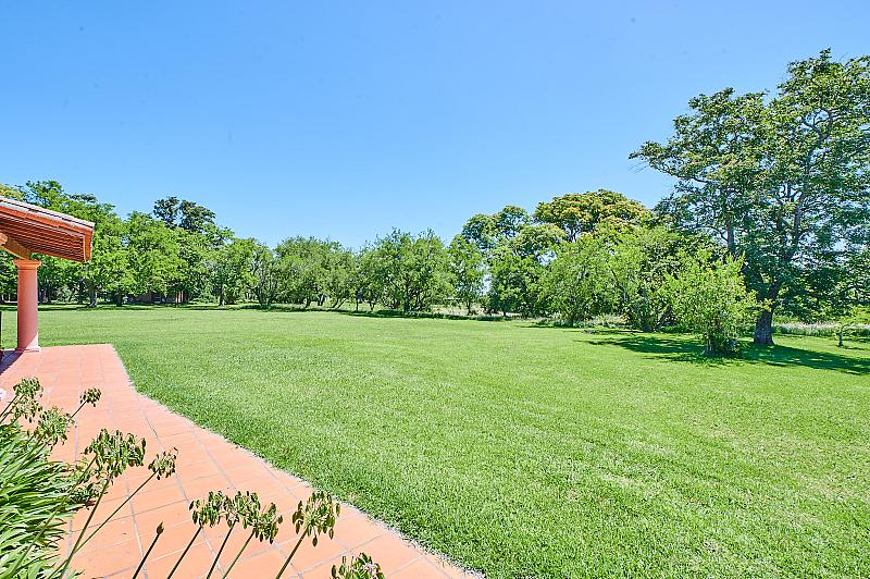 Campo en venta