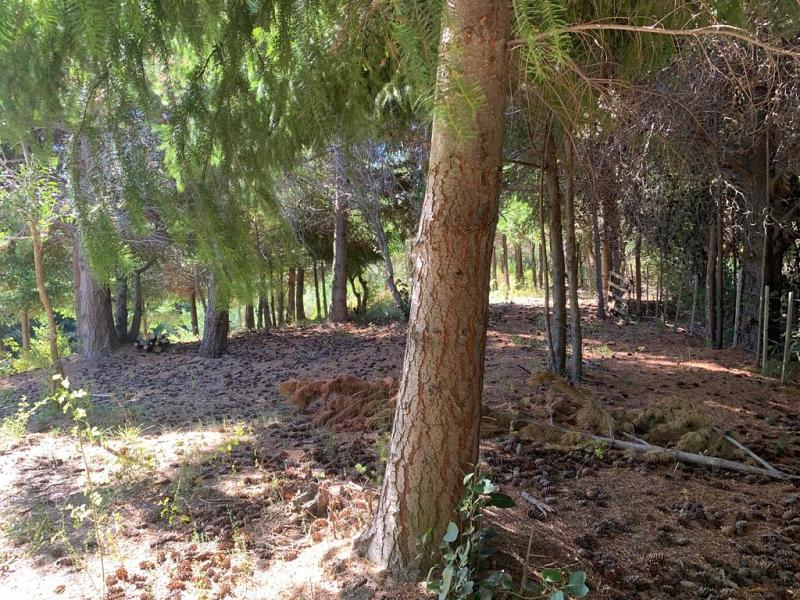 Terreno en venta