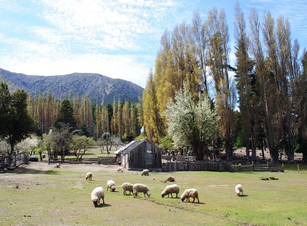 Campo en venta