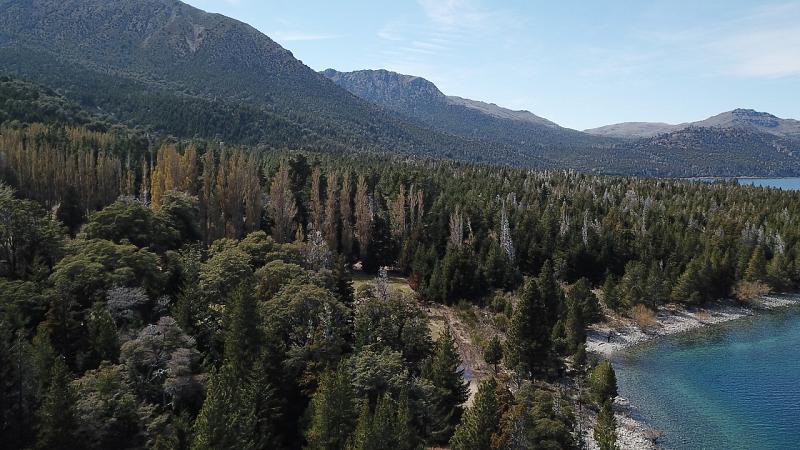 Campo en venta
