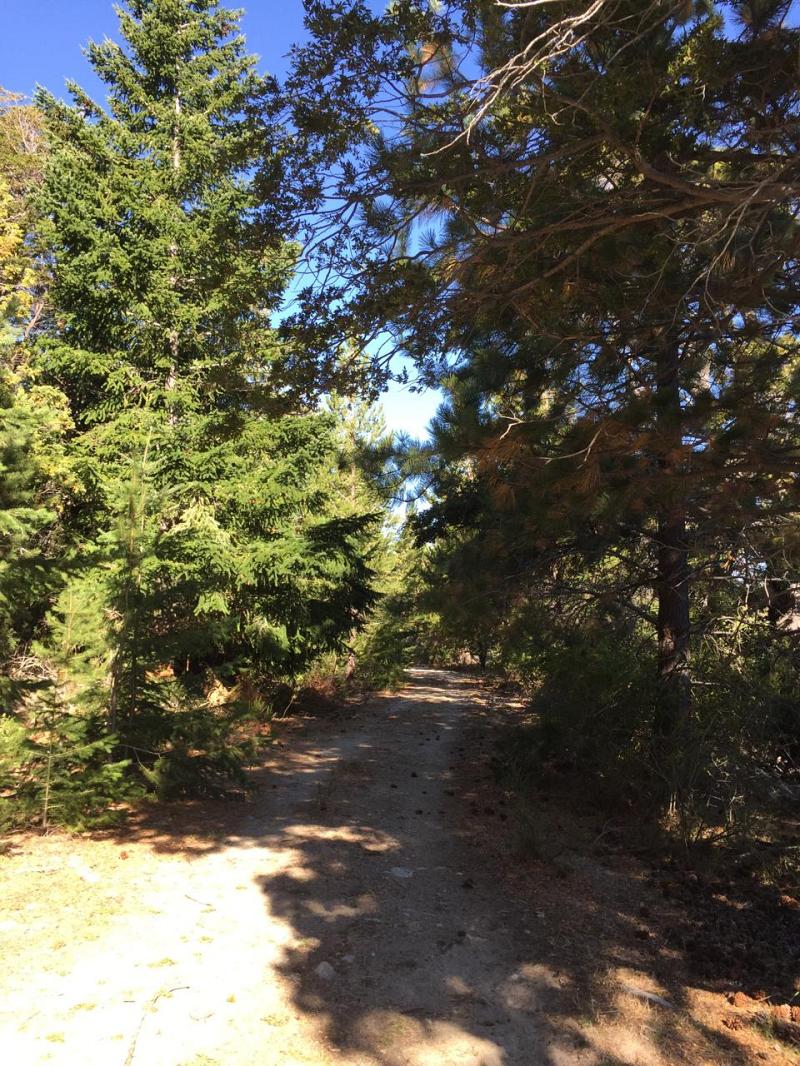 Campo en venta