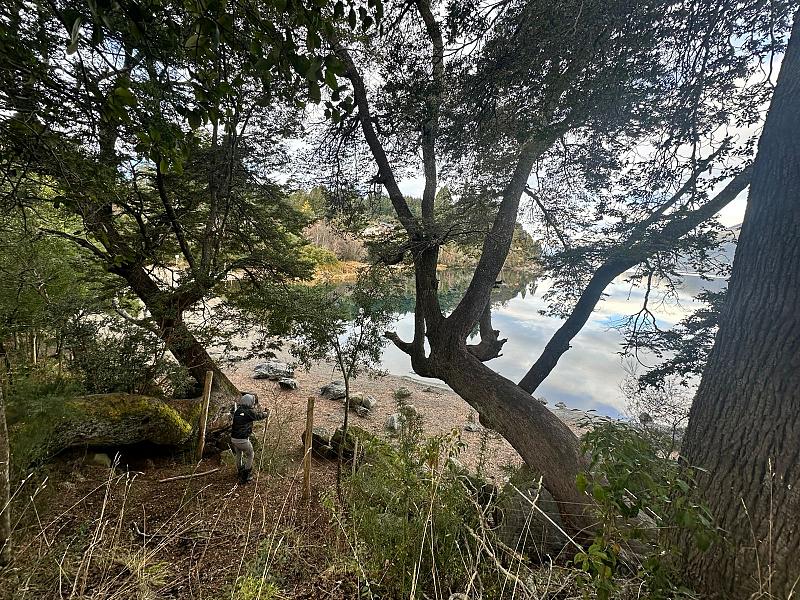 Terreno en venta