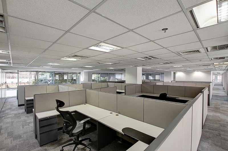 Oficina en alquiler