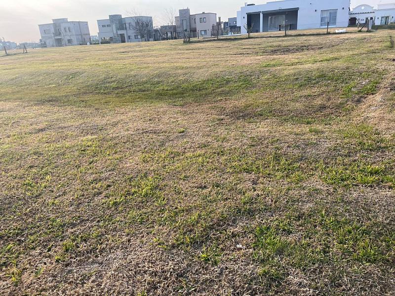 Lote en venta