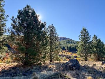 Campo en venta