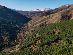 Campo en venta