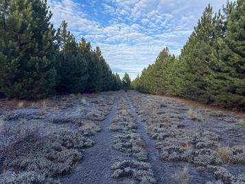 Campo en venta