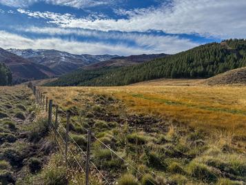 Campo en venta