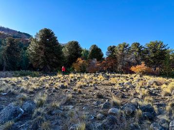 Campo en venta