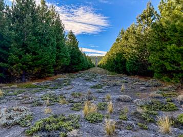 Campo en venta