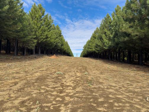 Campo en venta
