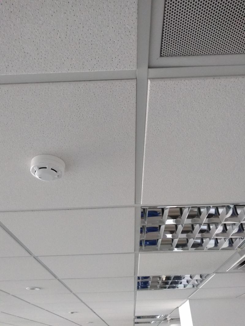 Oficina en alquiler