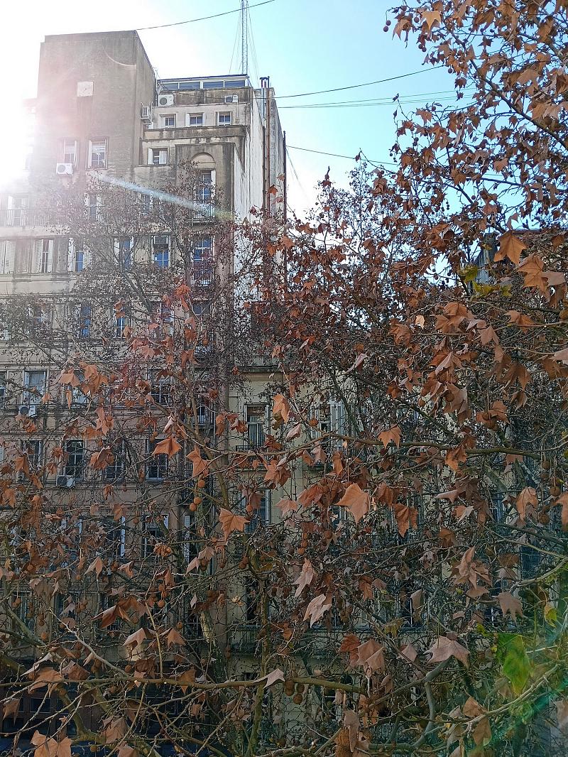 Edificio en Block en venta